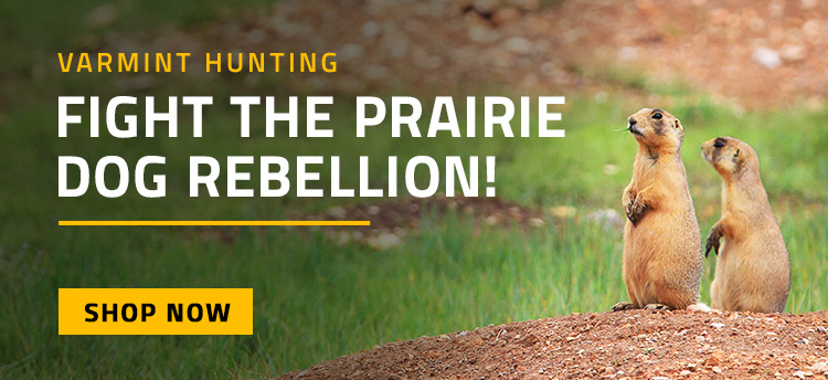 Varmint Hunting - Shop Now